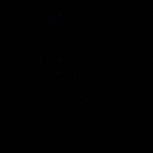 Meet your Posher, Ari